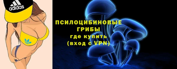 2c-b Медвежьегорск