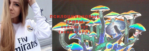 2c-b Медвежьегорск